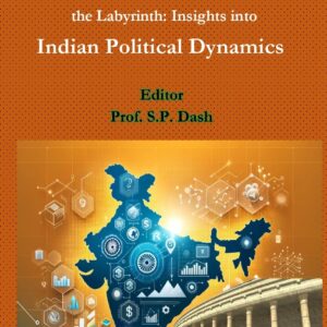 Navigating the Labyrinth Insights into Indian Political Dynamics