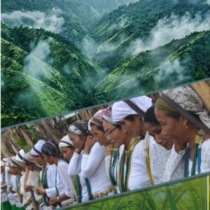 Tribal Women in Rural Local Governance in India: Insights From Arunachal Pradesh By Dr. Limo Ete